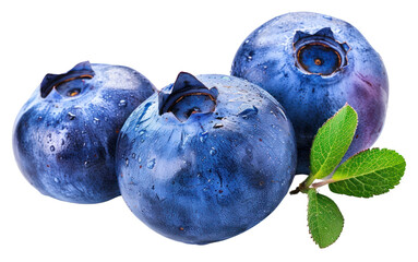 Obraz premium PNG Blueberry berry blueberry fruit plant.