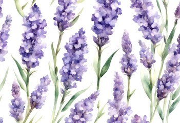 floral organic lavandula flower illustration vintage watercolor white lavender card olated provence...