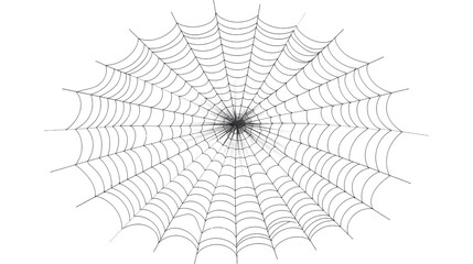 Obraz premium Transparent Cobweb for Halloween: Spooky and Eerie Decoration for Holiday Themes