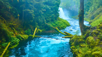 Obraz premium Aerial View of Koosah Falls and Turquoise River in Lush Oregon Forest