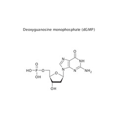 Deoxyguanosine monophosphate (dGMP) skeletal structure schematic illustration, Nucleotide molecule.