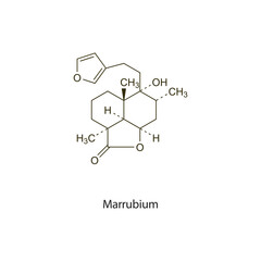 Marrubium flat skeletal molecular structure Mucoactive agent drug used in cough treatment. Vector illustration scientific diagram.