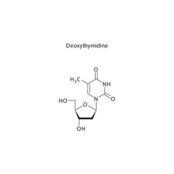 Deoxythymidine monophosphate&nbsp;(dTMP) skeletal structure schematic illustration, Nucleotide molecule.