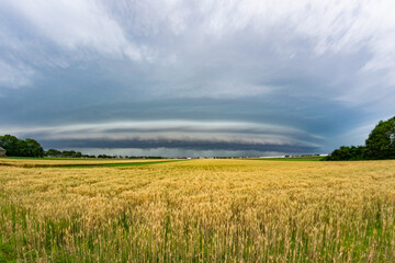 Menacing looking shelf cloud of a severe thunderstorms over a wheat field on the plains