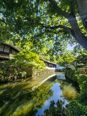 bridge over the river