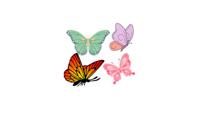 Fototapeta premium Beautiful Butterfly