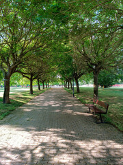 bench in the park