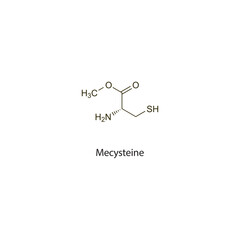 Mecysteine flat skeletal molecular structure Mucoactive agent drug used in cough treatment. Vector illustration scientific diagram.