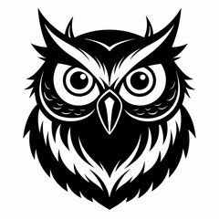 owl vector and illustration