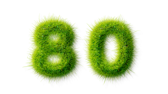 Alphabet letter grass effects, A Number 80 with grass on a transparency background, eco text effect, isolated letter with grass effect high quality