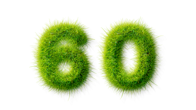 Alphabet letter grass effects, A Number 60 with grass on a transparency background, eco text effect, isolated letter with grass effect high quality