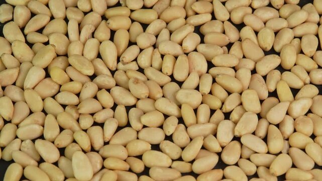 Peeled pine nuts are rotating in macro backdrop. Pine nut kernels close up. Healthy nut