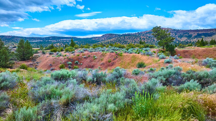 Aerial Fly Through Rugged Hills and Sagebrush Under Clear Sky