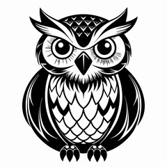 owl vector and illustration