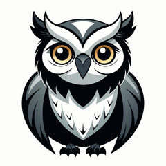 owl vector and illustration
