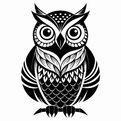 owl vector and illustration