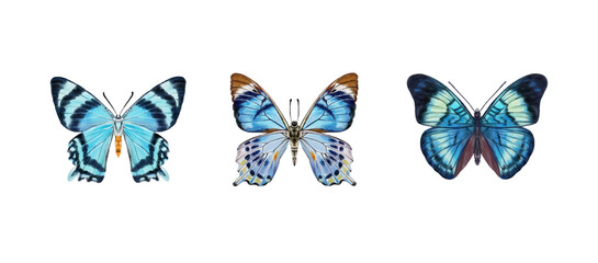 Watercolor colorful butterflies, isolated on white background. blue, yellow, pink and red butterfly spring 