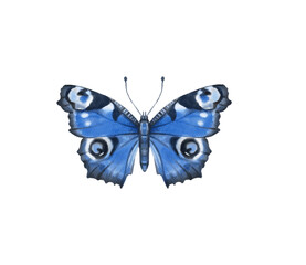 Watercolor colorful butterflies, isolated on white background. blue, yellow, pink and red butterfly spring 