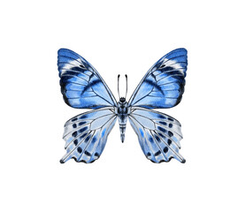 Watercolor colorful butterflies, isolated on white background. blue, yellow, pink and red butterfly spring 