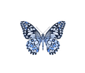 Watercolor colorful butterflies, isolated on white background. blue, yellow, pink and red butterfly spring 