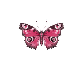 Watercolor colorful butterflies, isolated on white background. blue, yellow, pink and red butterfly spring 