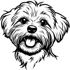 Maltese   | Dog Silhouette | Black SVG | High Detail |