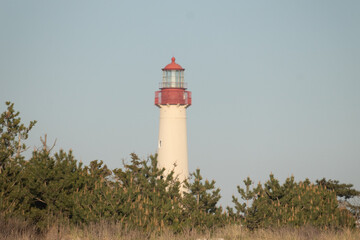 Beautiful Cape May Point Lighthouse. The large white structure coming out of the trees. The red metal top with glass holding a lamp that lights the way for sailors helping for nautical navigation.