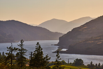 Golden Hour River Valley with Pine Trees and Rolling Hills, Eye-Level Perspective