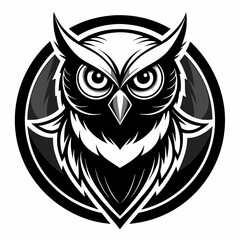 owl vector and illustration