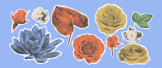 Cutout Color Halftone Flowers Set. Contemporary collage elements in a retro pop art style. Clipping scrapbook stickers with ripped paper. Vintage monochrome herbarium.