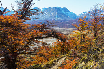 Autumn in Patagonia