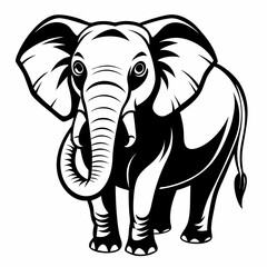 elephant vector and illustration