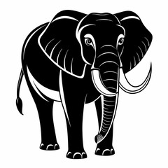 elephant vector and illustration