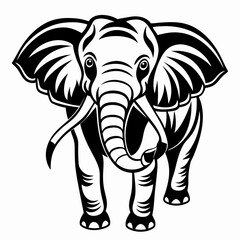 elephant vector and illustration
