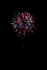  Beautiful fireworks in the night sky #98