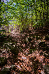 Camins del GR11 🇵🇱