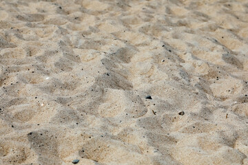 Fragment of a sandy beach on the Baltic coast in Ustronie-Morskie, West Pomerania, Poland