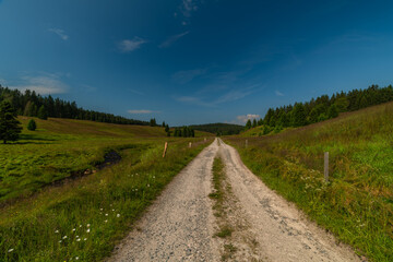 Fototapeta premium Rolava river with grass on bank in summer hot morning between green meadows