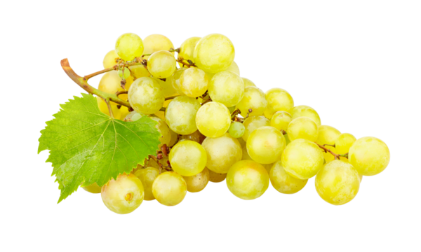 Cluster of ripe white grapes with green leaf. Yellow organic natural fruit isolated on background. PNG.