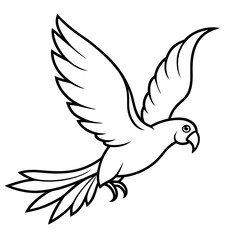 eclectus parrot bird flies icon vector