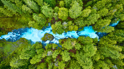 Aerial View of Turquoise River Winding Through Lush Green Forest