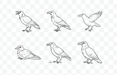 Print Elegant Crow Line Art Vector Set: Perfect for Graphic Design and Creative Projects