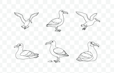Print Ultimate Albatross Line Art Vector Set, Elegant & High-Quality Designs for Creatives