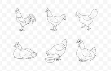 Print Ultimate Hen Line Art Vector Collection: Detailed and High-Quality Illustrations