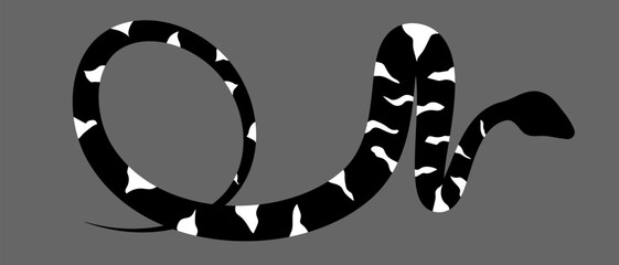 Black and white silhouette snake. Isolated symbol on grey background. Reptile vector illustration. Dangerous wildlife animals in garden. Black snake with white spots. Eps 10 clipart draw. 