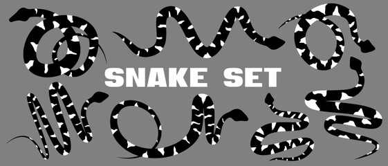 Black and white silhouette snakes set. Isolated symbols on grey background. Zig zag reptile vector illustration. Dangerous wildlife animals in garden. Black snake with white spots. Eps 10 clipart draw