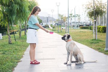 Young woman gives water to drink to a stray dog