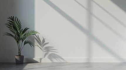 A minimalist living space where mystical