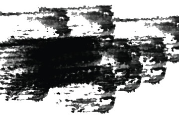Fototapeta premium Black and white texture vector image background texture.