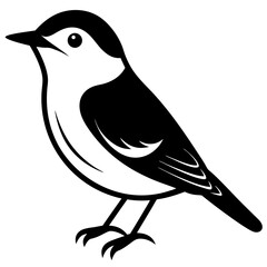 bird on white background